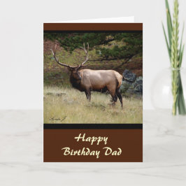 野生のオオシカ カード