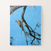 野生のオスプレイ ジグソーパズル (縦)