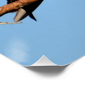 野生のオスプレイ ポスター (コーナー)