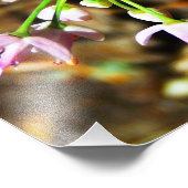 野生のオニオンフラワー フォトプリント            (角)