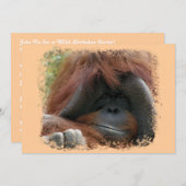 野生のオランウータンの誕生会の招待 招待状 (正面/裏面)