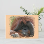 野生のオランウータンの誕生日パーティーに招待します 招待状 (スタンド正面)