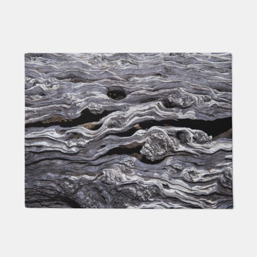 野生のオリーブの木|カ素晴らしルー(南アフリカ) ドアマット (正面)