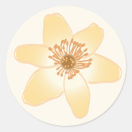 野生のオレンジアネモネの花 – 植物性スケッチ。 ラウンドシール