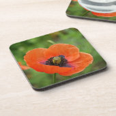 野生のオレンジポピーの花(NZ)セット6 コースター (左側)