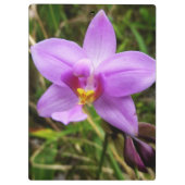 野生のオーキッドパープルトロピカルフラワー クリップボード (裏面)