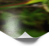 野生のオーキッドパープルトロピカルフラワー フォトプリント            (角)