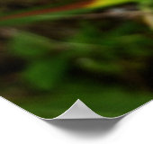 野生のオーキッドパープルトロピカルフラワー ポスター (角)