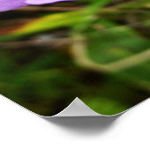 野生のオーキッドパープルトロピカルフラワー ポスター (角)