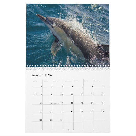 "野生のオーストラリア"のオーストラリアの野性生物のカレンダー カレンダー (3月 2026)