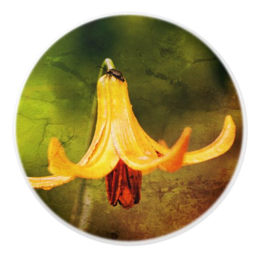 野生のカナダユリと昆虫抽象芸術 セラミックノブ (正面)