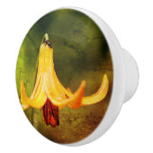 野生のカナダユリと昆虫抽象芸術 セラミックノブ (右)