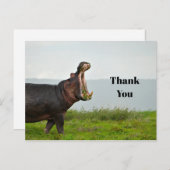 野生のカバの写真　ありがとう ポストカード (正面/裏面)