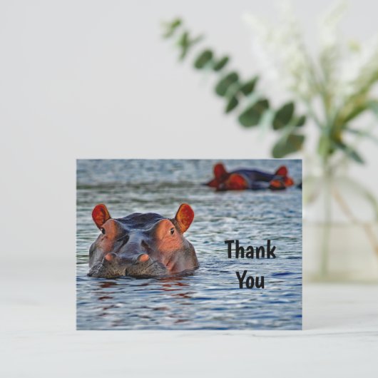 野生のカバの水中の写真 ありがとう ポストカード (スタンド正面)