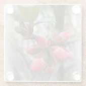 野生のカモメ ガラスコースター (裏面)