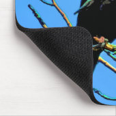 野生のカラスと枝野生動物の写真ギフト マウスパッド (コーナー)