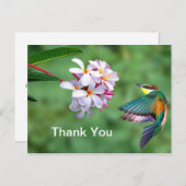 野生のカラフルなサザン・ビーイーターの花の写真 ありがとう ポストカード (正面/裏面)