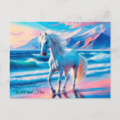 野生のカラフル馬が海岸景観を変える ポストカード (正面)