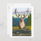 野生のカリブー – イエローストーンナショナル ポストカード (正面/裏面)