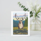 野生のカリブー – イエローストーンナショナル ポストカード (スタンド正面)