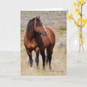 野生のカードの名誉のステーンズの野生石 カード (黄色い花)