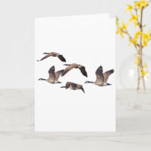 野生のガチョウの群 カード (黄色い花)