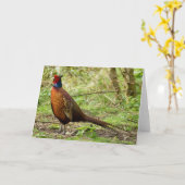 野生のキジ カード (黄色い花)