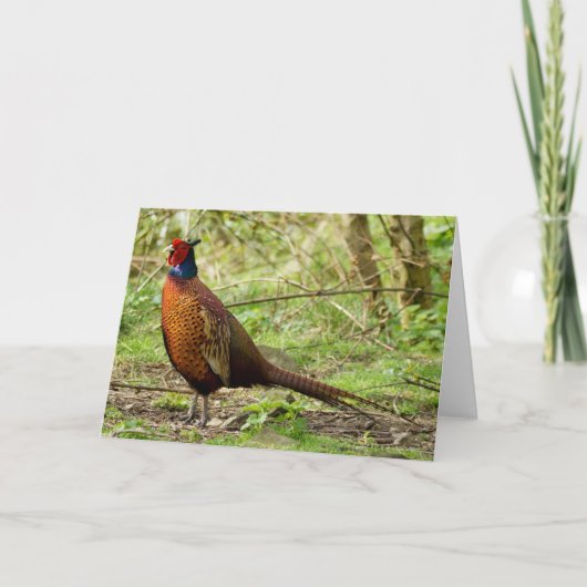 野生のキジ カード (正面)