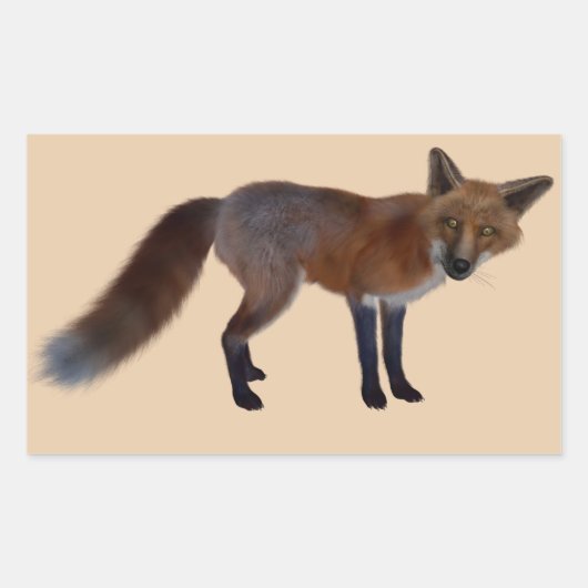 野生のキツネのシール 長方形シール (正面)