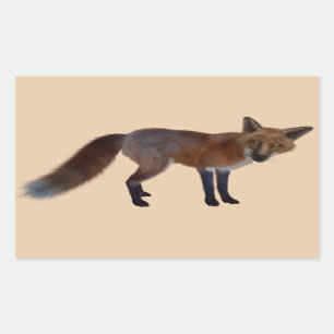 野生のキツネのシール 長方形シール