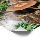 野生のキノコとコケ10x8自然 フォトプリント            (角)