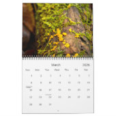 野生のキノコと自然写真 カレンダー (3月 2026)