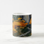 野生のキノコのグループ，森の中の足掛け コーヒーマグカップ (中央)