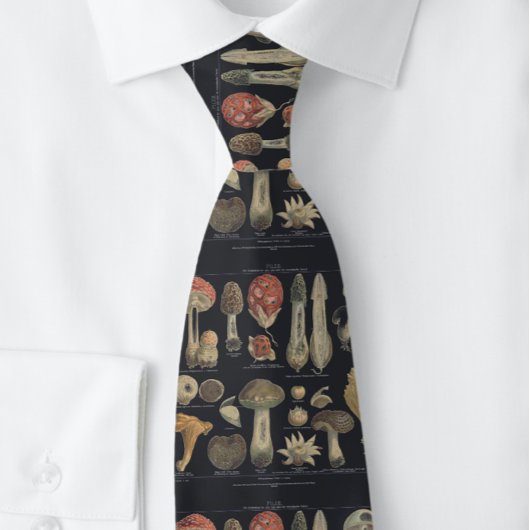 野生のキノコのフンギ種 ネクタイ