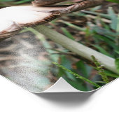 野生のキノコのペア10x8自然 フォトプリント            (角)