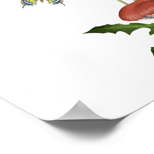 野生のキノコの来感謝 ポスター (角)