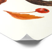 野生のキノコをオフに白 ポスター (角)