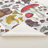 野生のキノコ シェルパブランケット (3/4)