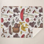 野生のキノコ シェルパブランケット (正面(横))