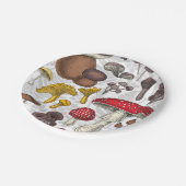 野生のキノコ ペーパープレート (アングル)