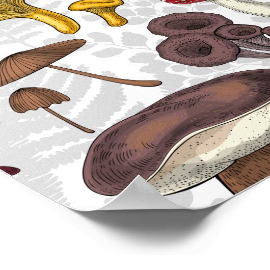 野生のキノコ ポスター (角)