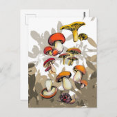 野生のキノコ ポストカード (正面/裏面)