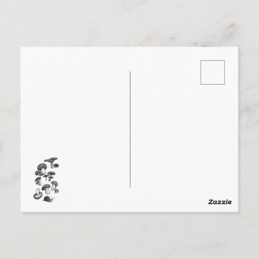 野生のキノコ ポストカード (裏面)