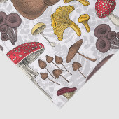 野生のキノコ 薄葉紙 (詳細)