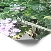 野生のクマツヅラの紫色の花が咲く自然環境 ポスター (角)