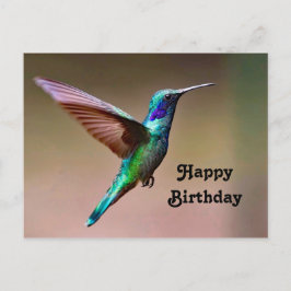 野生のグリーンハummingbirdの写真の誕生日 ポストカード