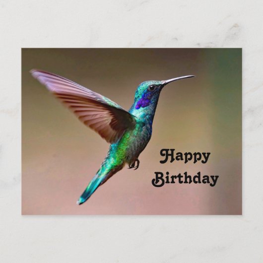 野生のグリーンハummingbird写真の誕生日 ポストカード (正面)