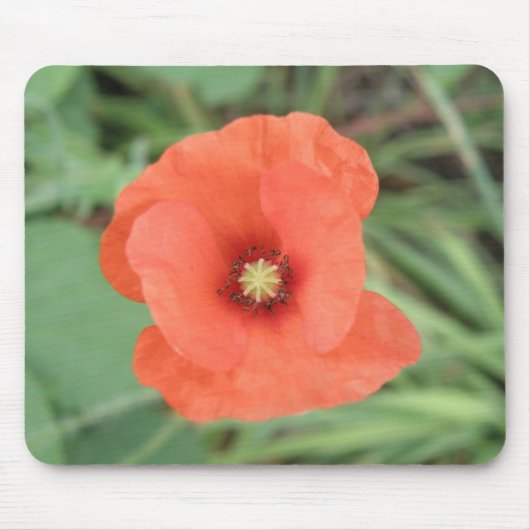 野生のケシの花マウスパッド マウスパッド (正面)