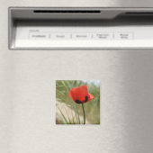 野生のケシ磁石 マグネット (インサイチュ (食洗機))