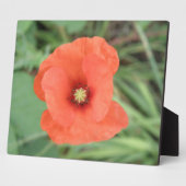 野生のケシ花のプラーク フォトプラーク (側面)